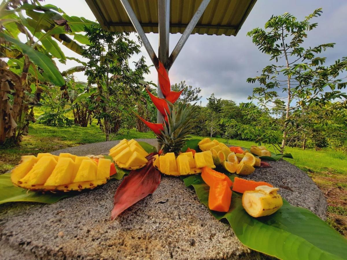 Cabanas Montanas Del Tenorio Rio Celeste Luaran gambar