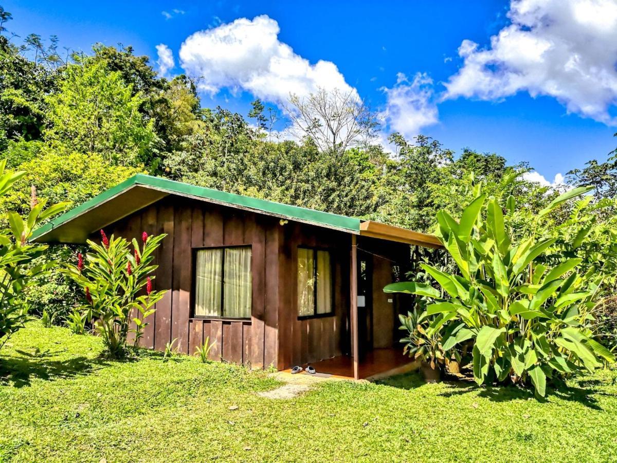Cabanas Montanas Del Tenorio Rio Celeste Luaran gambar