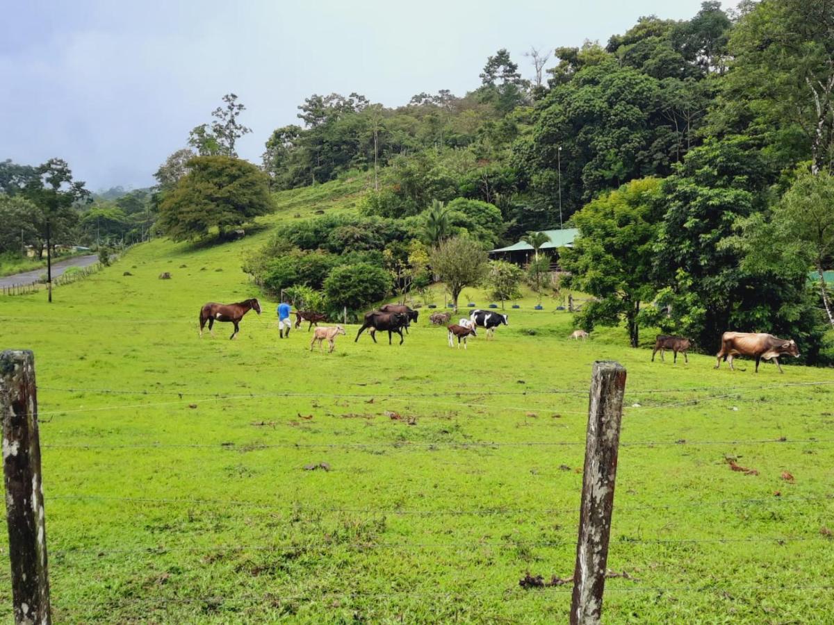 Cabanas Montanas Del Tenorio Rio Celeste Luaran gambar
